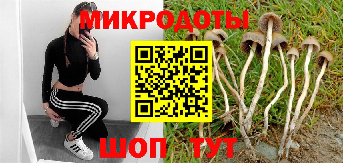 Псилоцибиновые грибы ЛСД  Вход с VPN  Назрань 