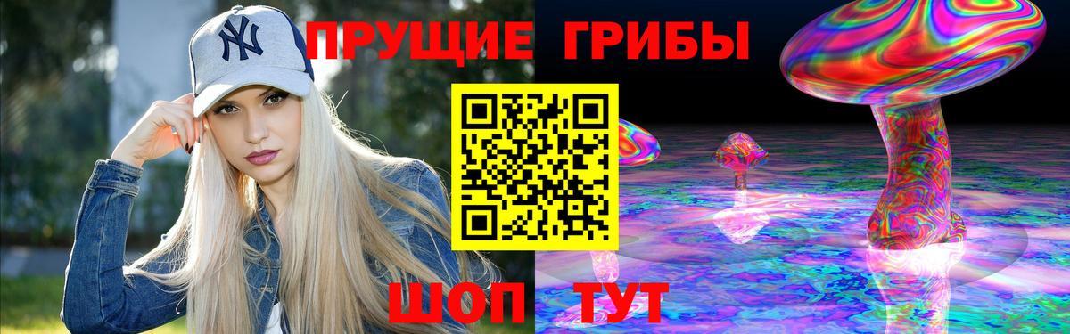 Псилоцибиновые грибы Cubensis Назрань
